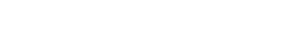 Kannegiesser